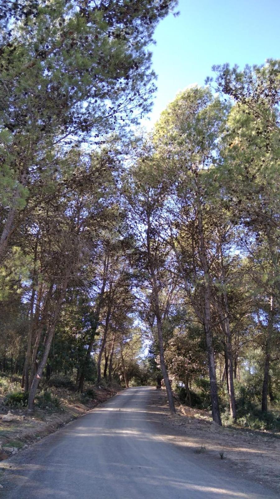 Huerto El Mayorazgo